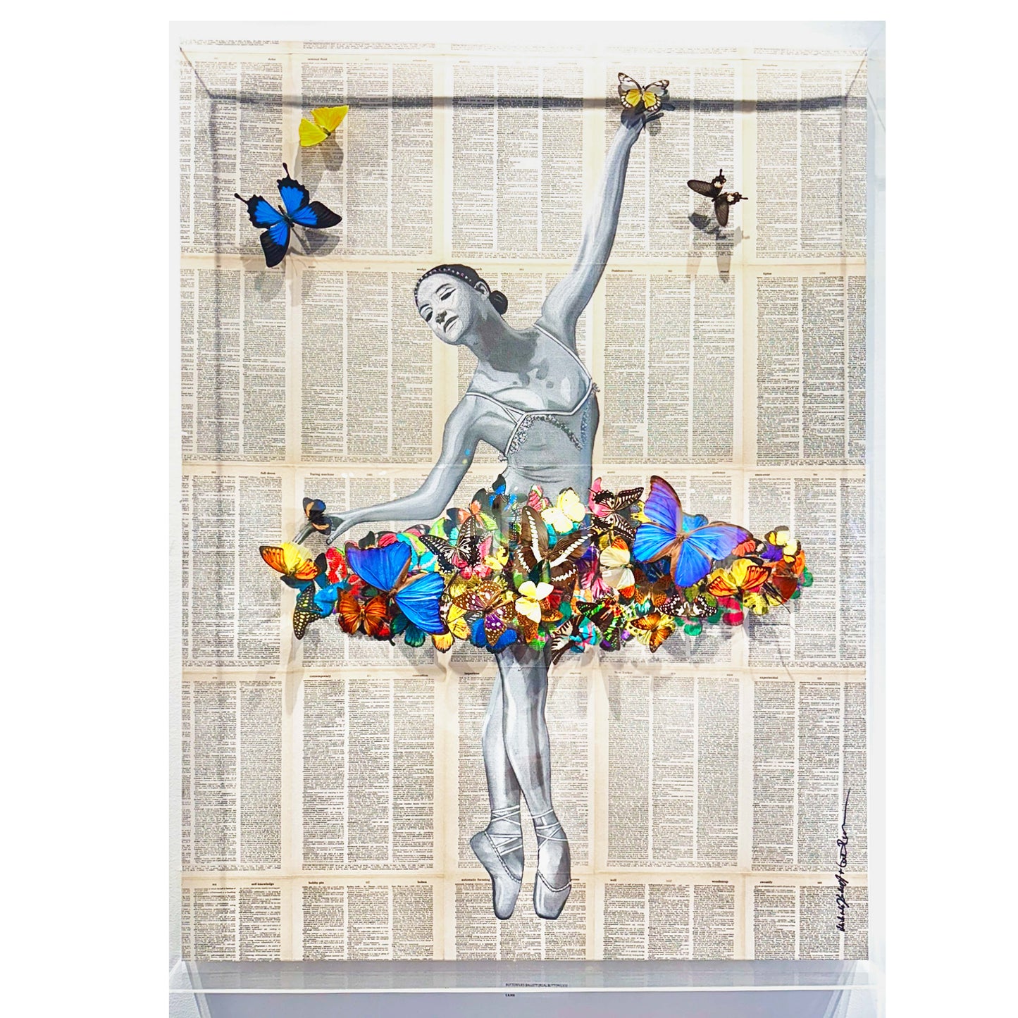 The Butterfly Ballet